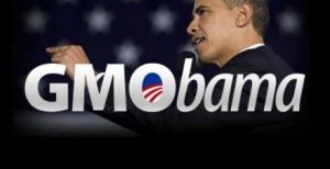 Een banner die zonder enig bewijs tracht te impliceren dat Amerikaans president Obama een belangenconflict zou hebben met de biotech-industrie.